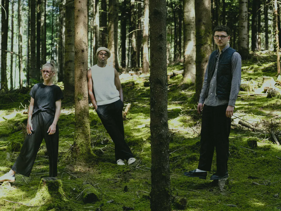 Lars — trois modèles portant des montures Linears dans une forêt